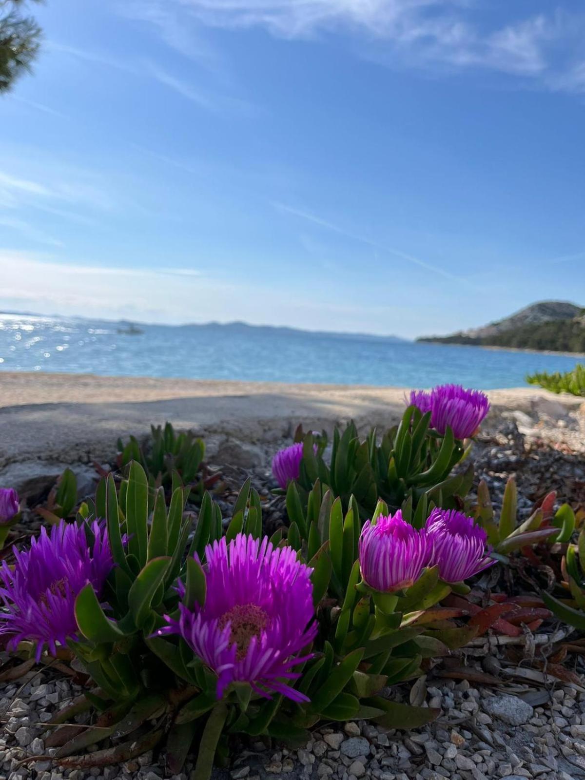 Eco Resort Buqez Villa 34 Drage Dış mekan fotoğraf